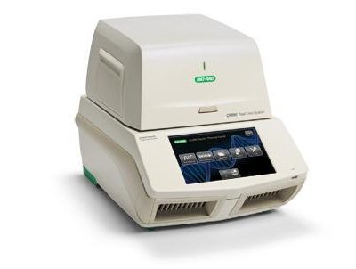 Real-time PCR